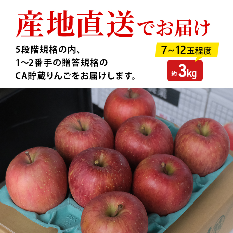 【5月クール便発送】 (13度糖度保証) 贈答用 CA貯蔵サンふじ 約3kg りんご リンゴ 林檎 サンふじ ふじ 果物 くだもの フルーツ 弘前 弘前市産 青森りんご 青森