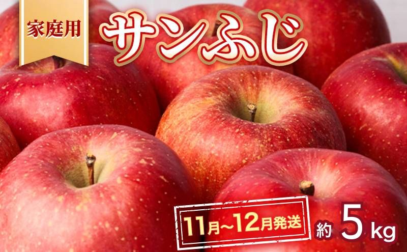 【11月～12月発送】高谷農園 家庭用 サンふじ 約 5kg 【弘前市産・青森りんご 果物類 林檎 リンゴ  】