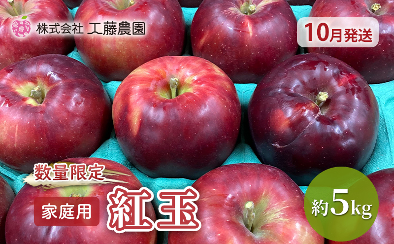 【数量限定  10月発送】 家庭用 紅玉 約 5kg 工藤農園【弘前市産・青森りんご】