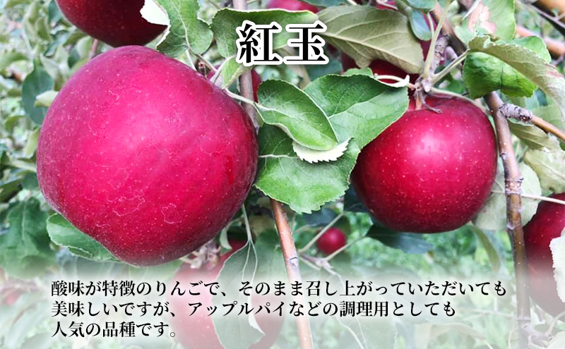 【数量限定  10月発送】 家庭用 紅玉 約 5kg 工藤農園【弘前市産・青森りんご】