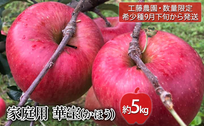 工藤農園・数量限定 希少種 9月下旬から発送】家庭用 華宝(かほう) 約