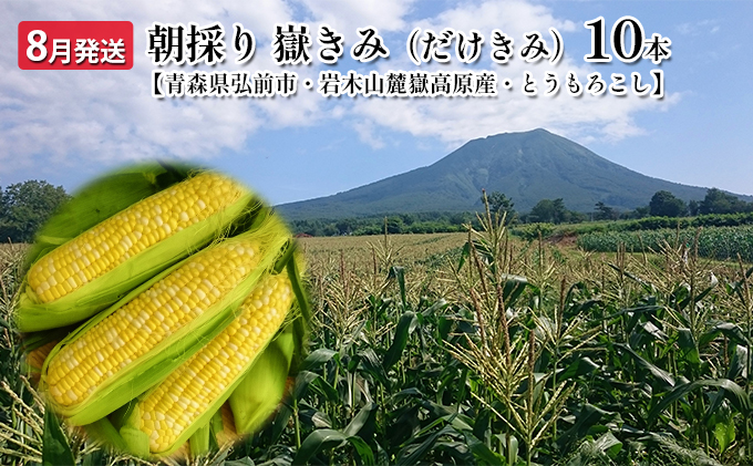 【8月発送】 朝採り 嶽きみ(だけきみ) 10本 とうもろこし トウモロコシ コーン 甘い 美味しい だけきみ 高糖度 野菜 夏野菜 岩木山麓嶽高原産 青森 青森県 弘前 弘前市