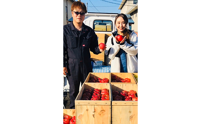 りんご 【 12月発送 】狼の葉とらず サンふじりんご 家庭用 約 5kg 【 弘前市産 青森りんご 】