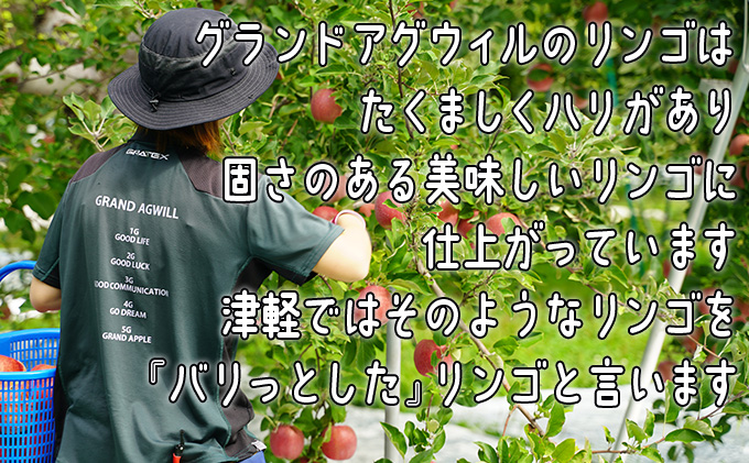 9～10月発送 家庭用 葉とらず つがる 約5kg 【弘前市産・青森りんご】