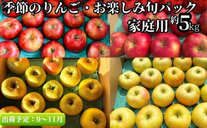 9月～11月発送】上級品ご家庭用 季節のりんご・お楽しみ旬パック 約5kg