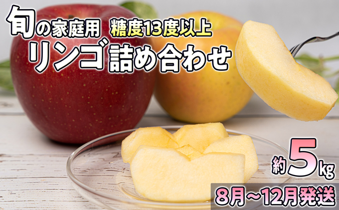 8月～12月発送 家庭用 旬のリンゴ詰め合わせ 約5kg 糖度13度以上【弘前市産・青森りんご】