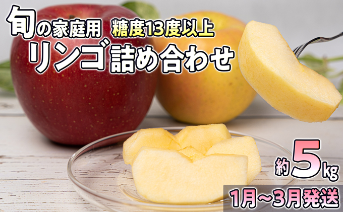 1月～3月発送 家庭用 旬のリンゴ詰め合わせ 約5kg 糖度13度以上【弘前市産・青森りんご】