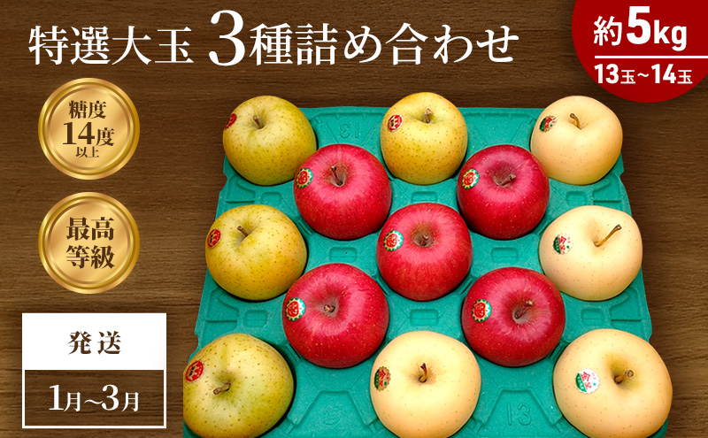 1月～3月発送 最高等級 特選大玉 3種詰め合わせ 約5kg（サンふじ・金星・王林）糖度14度以上【弘前市産・青森りんご】