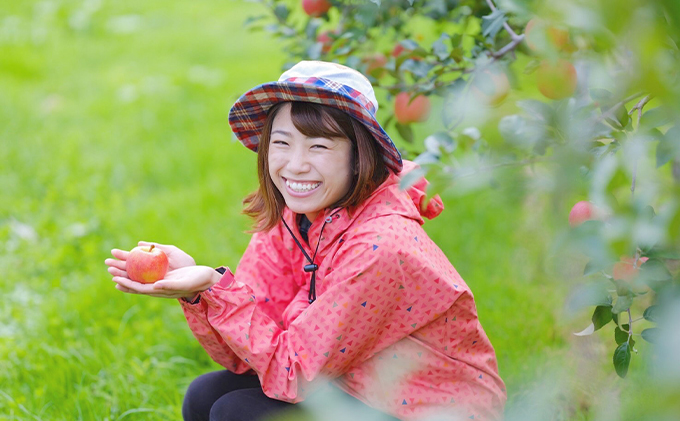 りんご 【 12月発送 特選 】 高徳 （ こうとく ）りんご 約 2kg 【 弘前市産 青森りんご 】