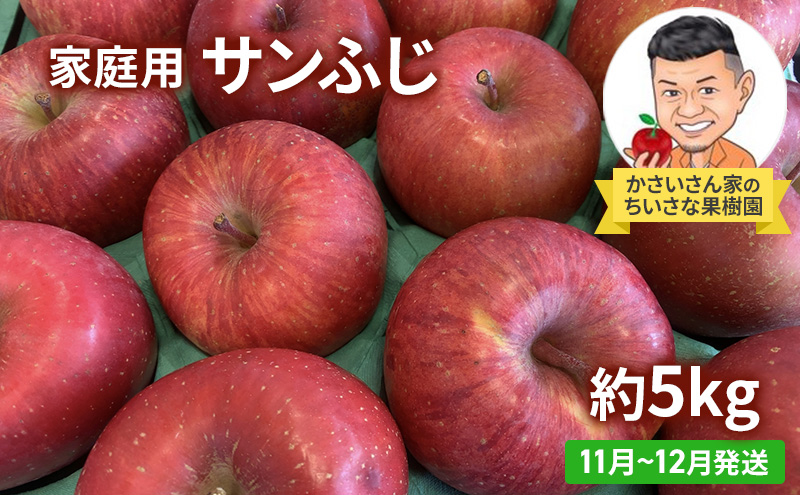 【11月～12月発送】家庭用 サンふじ 約 5kg 【弘前市産・青森りんご】