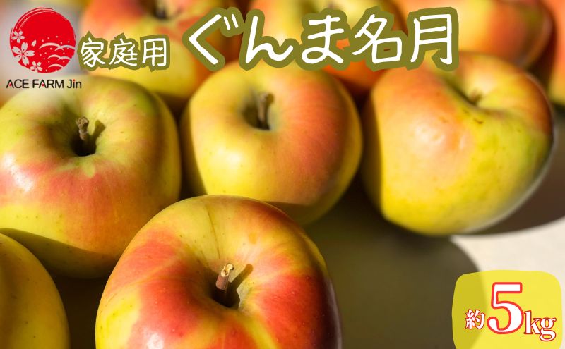 10～11月発送 家庭用ぐんま名月 約5kg【弘前市産・青森りんご】