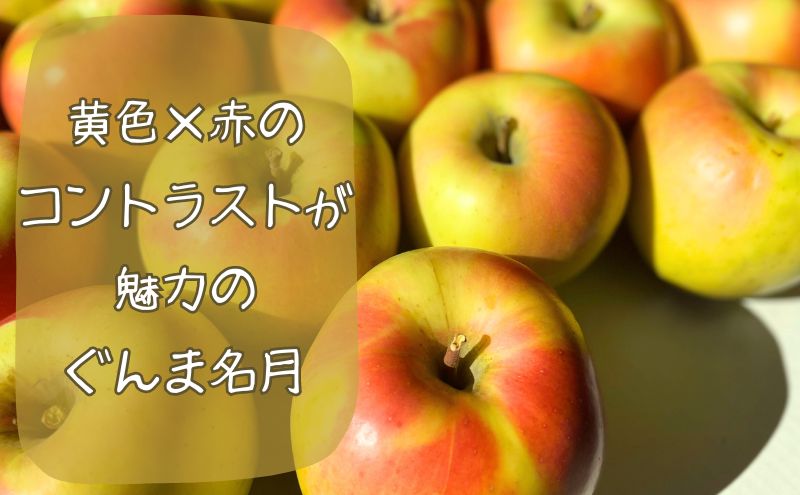 10～11月発送 家庭用ぐんま名月 約5kg【弘前市産・青森りんご 果物類 果実 フルーツ 珍品 絶品 黄色系 甘み ぎっしり 果汁 蜜 土壌 肥料 美味しい  】