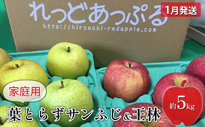 青森県産 摘果りんご 8キロ 果物