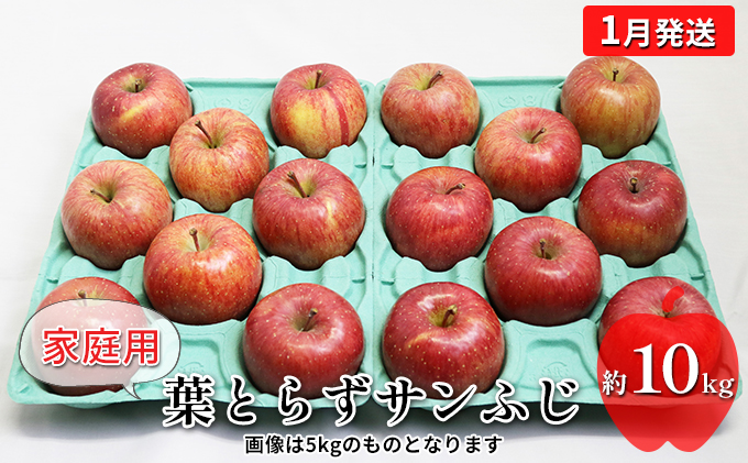 【1月発送】家庭用 葉とらずサンふじ　約10kg【弘前市産・青森りんご】