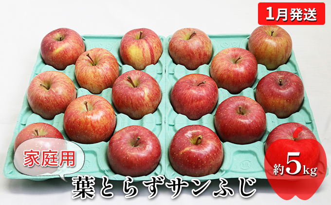 【1月発送】家庭用 葉とらずサンふじ　約5kg【弘前市産・青森りんご】