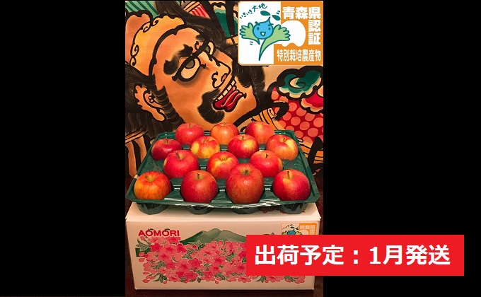 りんご 【 1月発送 】 訳あり 家庭用 葉とらず サンふじ 約 10kg 青森県特別栽培農産物認証農園 【 弘前市産 青森りんご 】