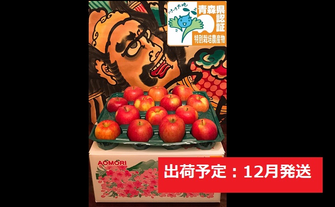 りんご 【 12月発送 】 訳あり 家庭用 葉とらず サンふじ 約 10kg 青森県特別栽培農産物認証農園 【 弘前市産 青森りんご 】