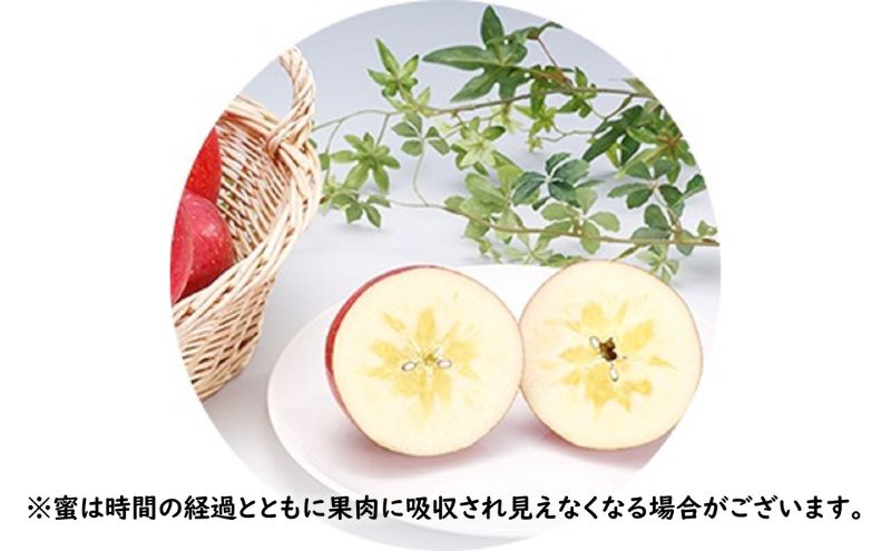 りんご 【 1月発送 】 蜜入り サンふじ （ みつまるくん ）約 2.5kg 糖度13度以上 【 弘前市産 青森りんご 】