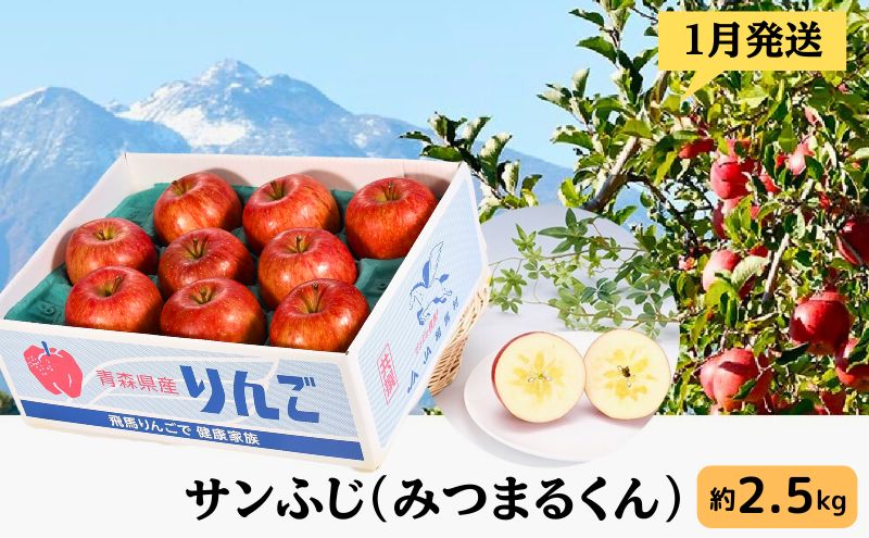 りんご 【 1月発送 】 サンふじ （ みつまるくん ）約 2.5kg 糖度13度以上 【 弘前市産 青森りんご 】