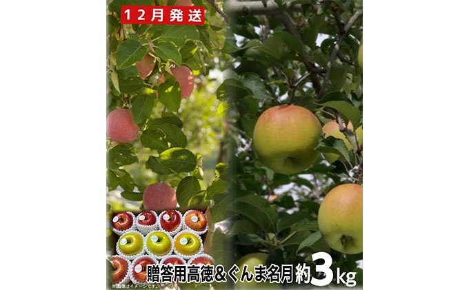 12月発送】 贈答規格 高徳＆ぐんま名月約3kg【弘前市産・青森りんご