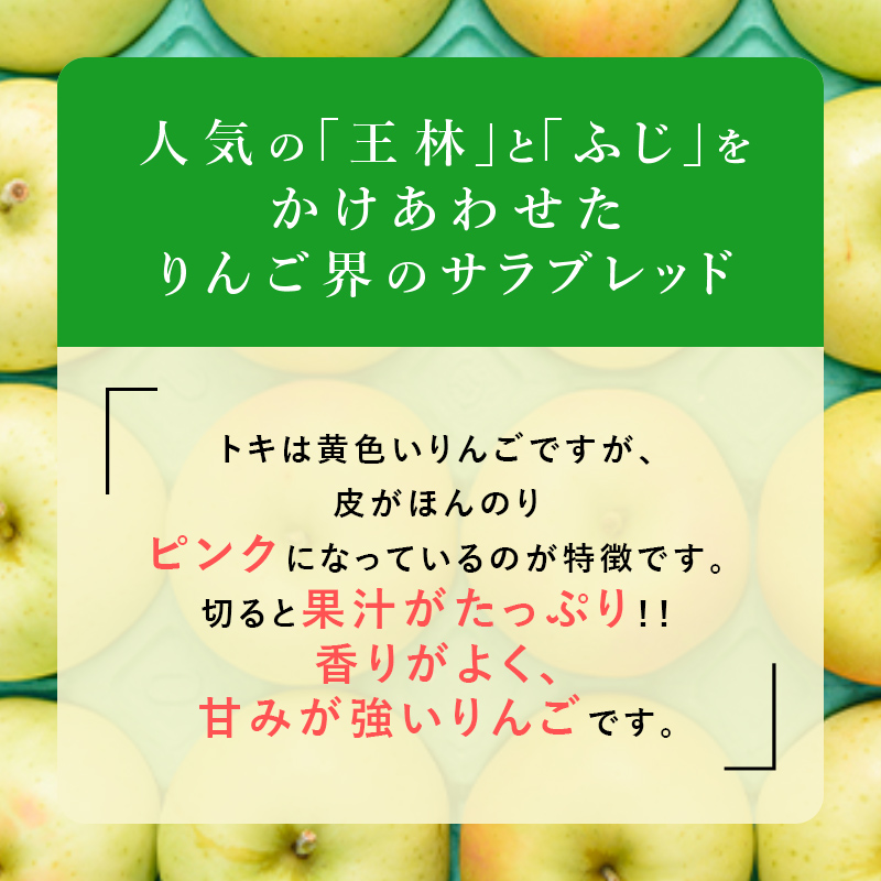 【11月発送】（糖度13度以上） 訳あり品 トキ 約 10kg 【弘前市産 青森りんご】