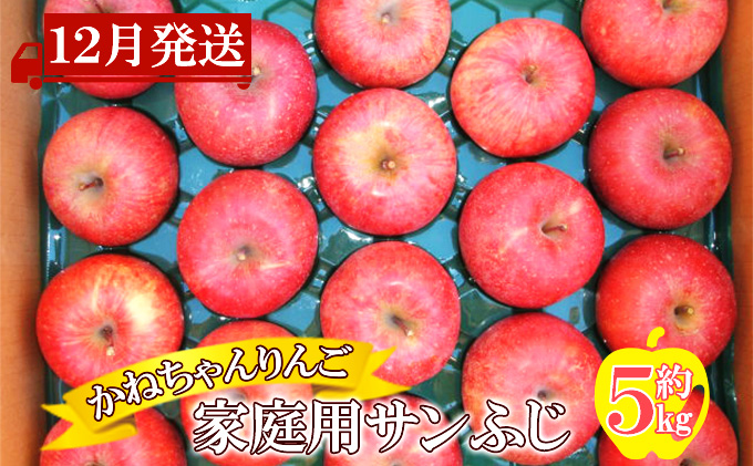 【12月発送】かねちゃんりんご 家庭用サンふじ約5kg【弘前市産・青森りんご】
