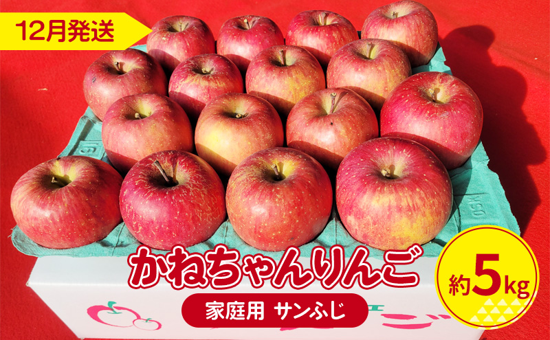 【12月発送】かねちゃんりんご 家庭用 サンふじ 約 5kg【弘前市産 青森りんご】