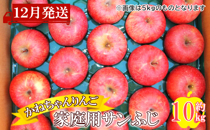 【12月発送】かねちゃんりんご 家庭用サンふじ約10kg【弘前市産・青森りんご】
