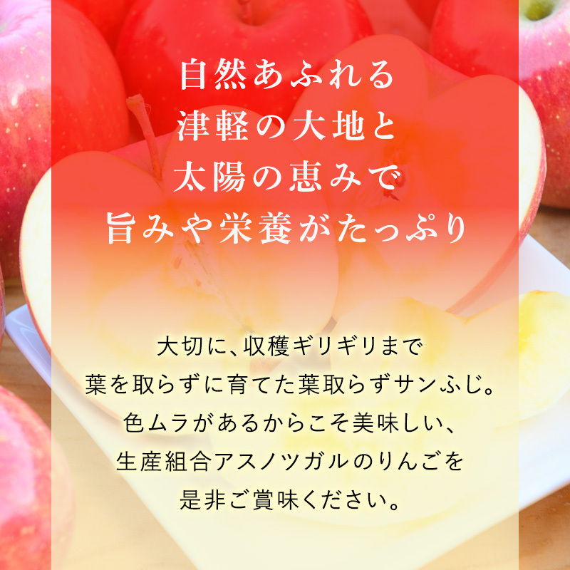 りんご 【11月発送】 蜜入り 糖度13度以上 贈答用 葉とらず サンふじ 約 5kg 【 弘前市産 青森りんご  果物 フルーツ 産地直送 糖度測定 褐変 チェック 贈り物 年末 挨拶 お土産  】