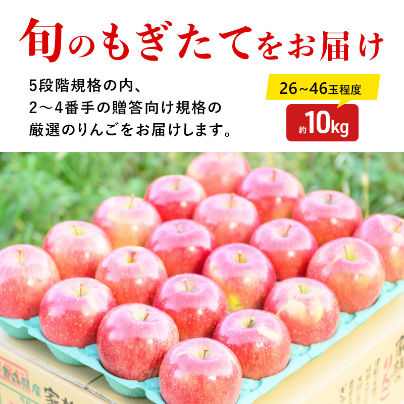 りんご 【11月発送】 蜜入り 糖度13度以上 訳あり 家庭用 葉とらず サンふじ 約 10kg 【 弘前市産 青森りんご 】