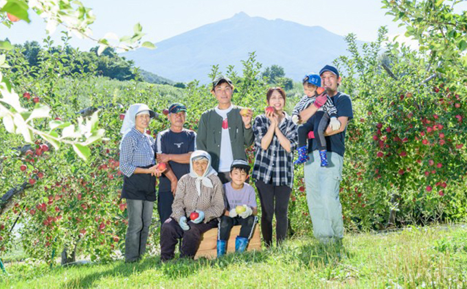 りんご 【 12月発送 】 訳あり 当園の味自慢！ 葉とらずふじ 約 10kg 【 弘前市産 青森りんご  果物 フルーツ デザート 酸味 ジューシー シャキシャキ  】