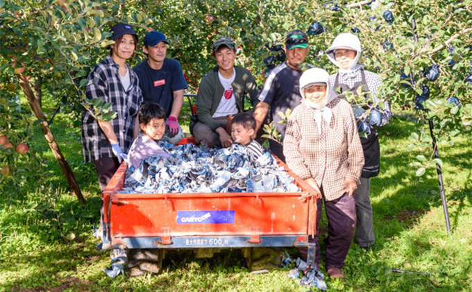 りんご 【 12月発送 】 訳あり 当園の味自慢！ 葉とらずふじ 約 10kg 【 弘前市産 青森りんご  果物 フルーツ デザート 酸味 ジューシー シャキシャキ  】