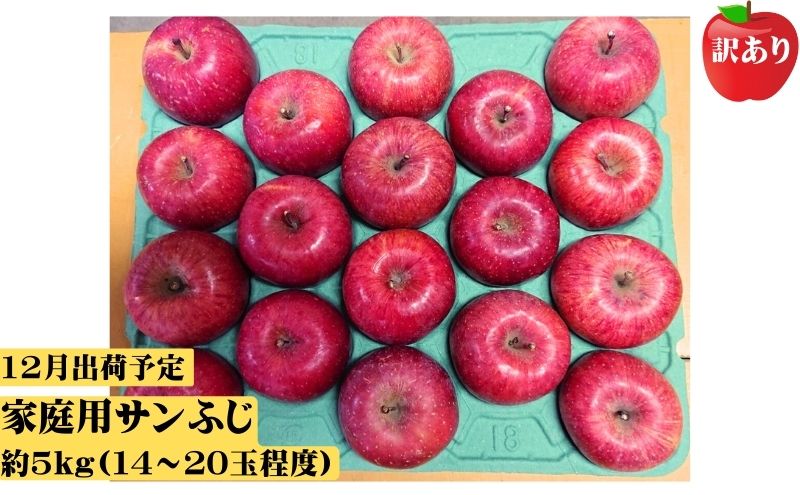 りんご 【 12月発送 】 訳あり 家庭用 百年木の香 三上農園 サンふじ 約 5kg 【 弘前市産 青森りんご  果物類 林檎 リンゴ  】