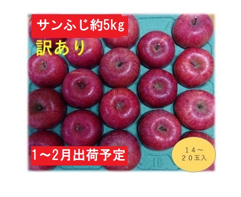 りんご 【1～2月発送】 訳あり 家庭用 百年木の香 三上農園 サンふじ 約 5kg 【 弘前市産 青森りんご  果物類 林檎 リンゴ 約5kg  】