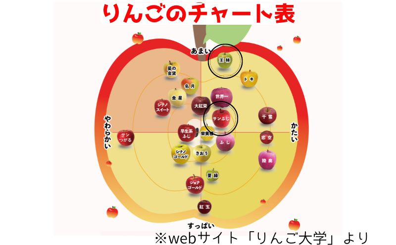 りんご 【3月クール便発送】 家庭用 サンふじ ・ 王林 詰め合わせ 約 5kg 【 弘前市産 青森りんご 】