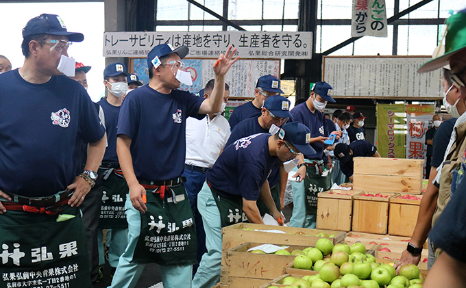 りんご 【 1月発送 】 贈答用 サンふじ ・ 王林 詰め合わせ 約 5kg 【 弘前市産 青森りんご 】