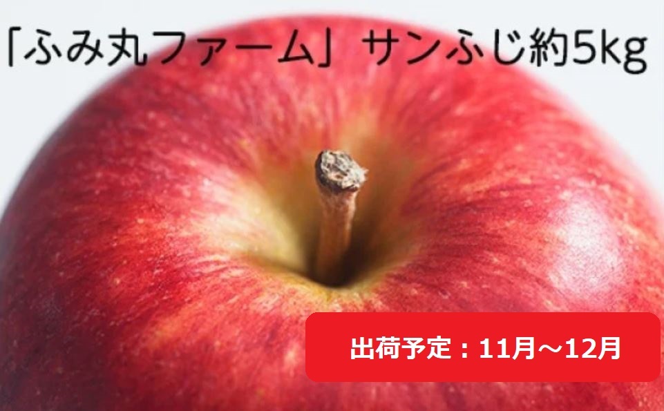 11月～12月発送 ふみ丸ファーム  最高等級「特選」 サンふじ 約5kg 【 弘前市産 青森りんご 】※オンライン決済のみ