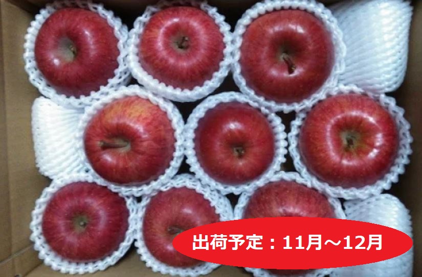 11月～12月発送 ふみ丸ファーム 訳あり サンふじ 3kg【 弘前市産 青森りんご 】※オンライン決済のみ