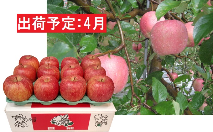 35.青森県産摘果りんご(若いりんご) 15kg