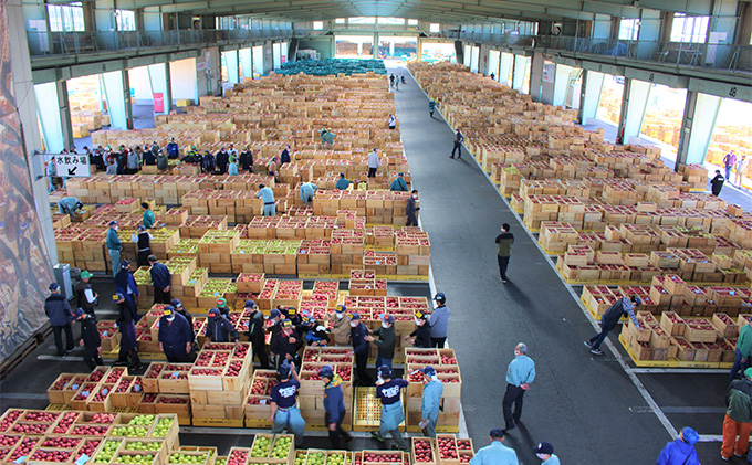 りんご 【 12月発送 】 贈答用 サンふじ 約 3kg【 弘前市産 青森りんご 】