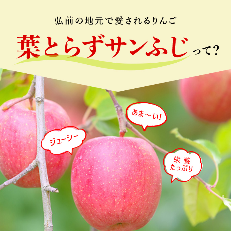 【 1月発送 】 糖度13度以上 おもてなし用 葉とらず サンふじ 約 5kg 【 弘前市産 青森りんご 】 果物 フルーツ デザート 食後 青森県産 産地直送