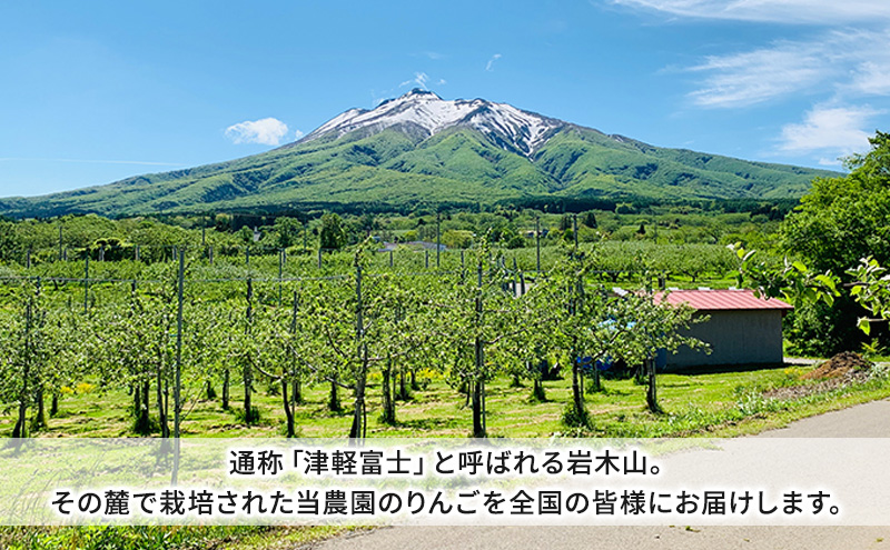 【12月発送】小山内農園 サンふじ 贈答用 特選 約3kg【弘前市産 青森りんご】