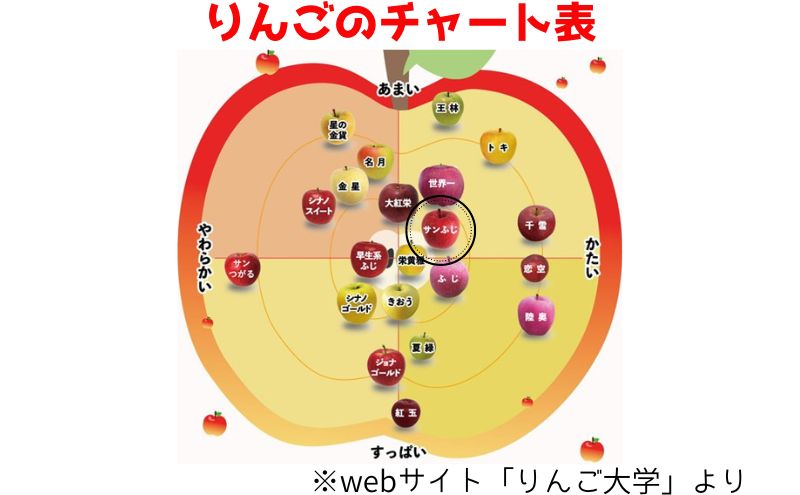 りんご 【 3月発送 】 贈答用 サンふじ 約 3kg 【 弘前市産 青森りんご 】