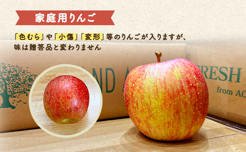 1月発送 家庭用 葉とらず サンふじ 約5kg【弘前市産・青森りんご 果物類 林檎 リンゴ  】