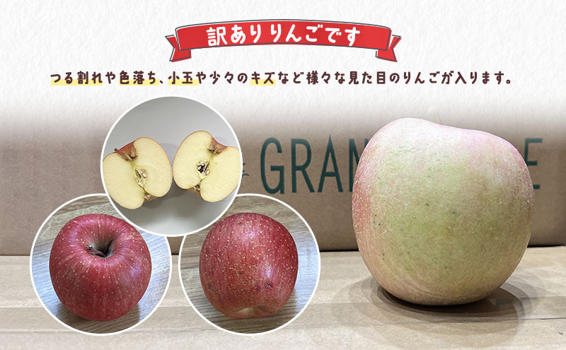 りんご 【 1月発送 】 訳あり 葉とらず サンふじ 約 10kg 【 弘前市産 青森りんご  果物類 林檎 リンゴ  】