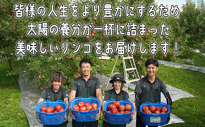 りんご 【 12月発送 】 訳あり 葉とらず サンふじ 約 10kg 【 弘前市産 青森りんご  果物類 林檎 リンゴ  】