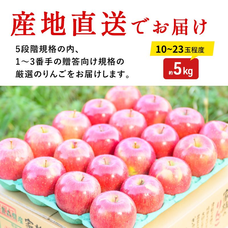 【 1月発送 】 糖度13度以上 おもてなし用 葉とらず サンふじ 約 5kg 【 弘前市産 青森りんご 】 果物 フルーツ デザート 食後 青森県産 産地直送