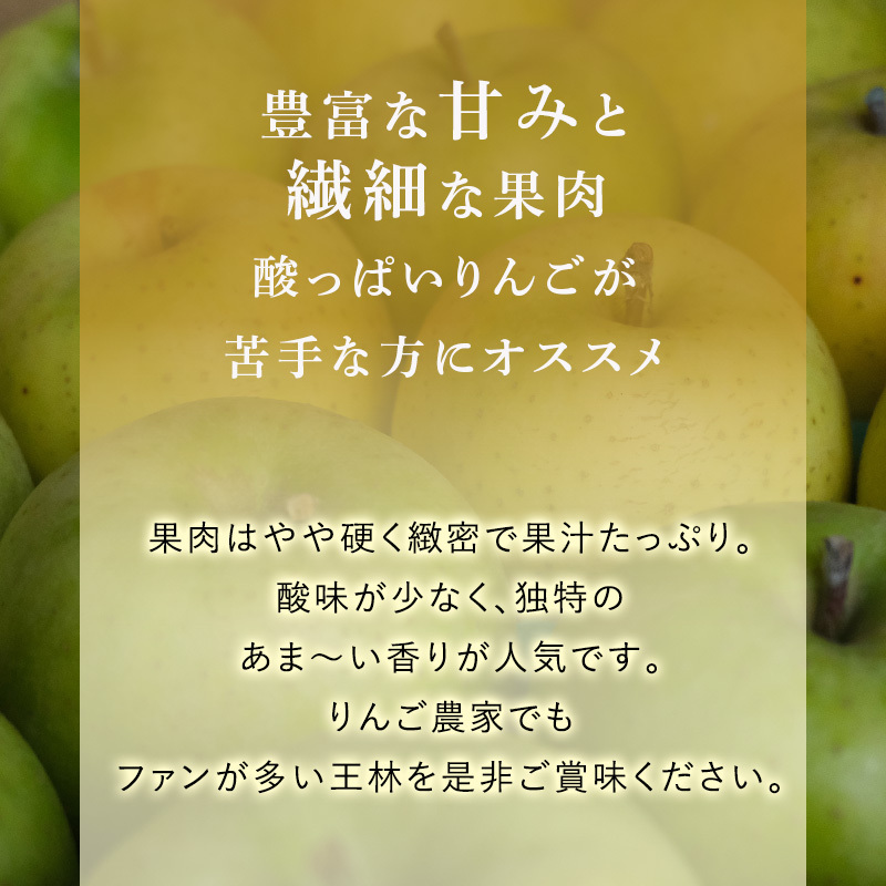 りんご 【2月発送】 糖度13度以上 贈答用 王林 約 5kg 【 弘前市産 青森りんご 】