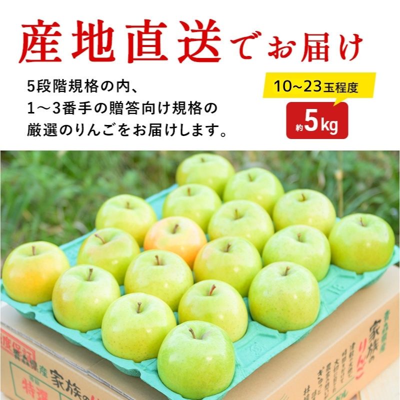 りんご 【2月発送】 糖度13度以上 贈答用 王林 約 5kg 【 弘前市産 青森りんご 】