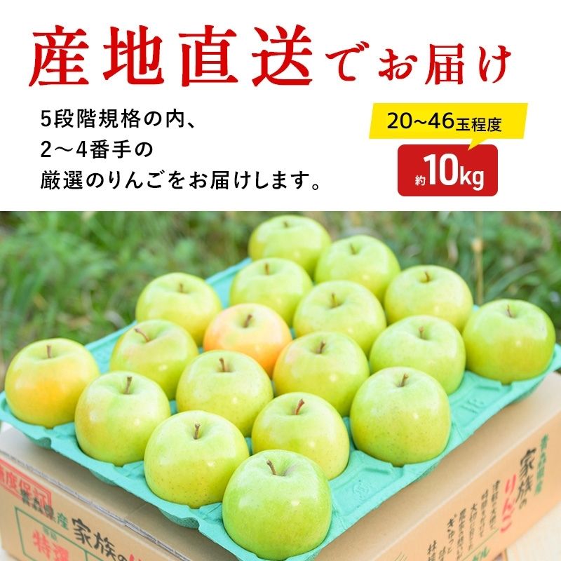 りんご 【2月発送】 糖度13度以上 訳あり 家庭用 王林 約 10kg 【 弘前市産 青森りんご 】